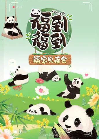 《福到福到福宝见面会》：这颜值我真的顶不住，看完直接原地封神！